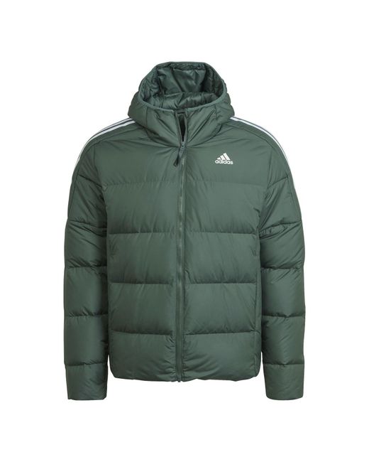 Adidas Essentials Midweight Hooded Donsjack in het Green voor heren