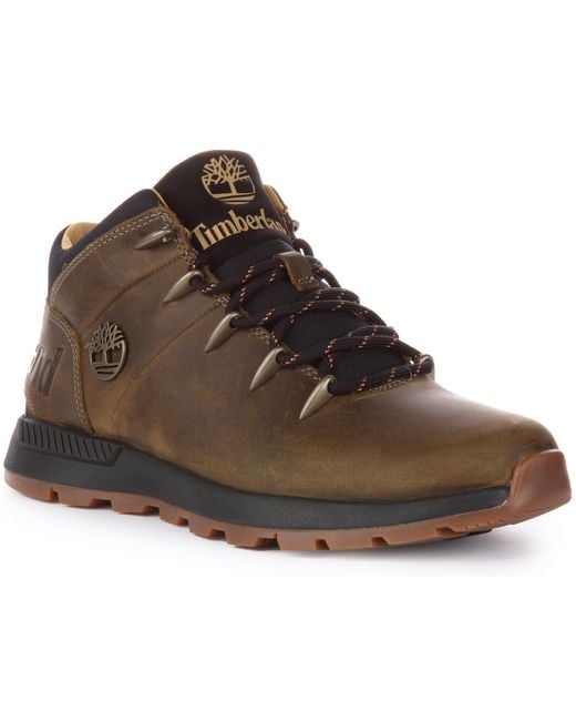 Timberland Sprint Walking-Schuh in Brown für Herren