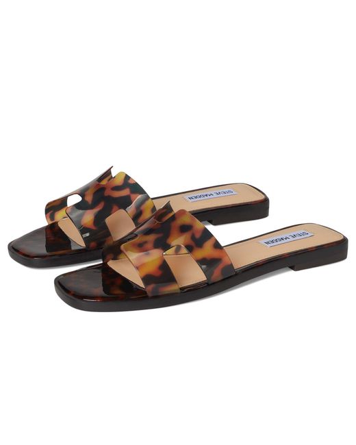 Sandalo Hadyn Donna di Steve Madden in Black