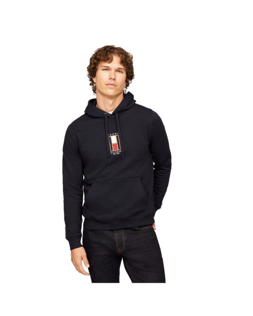 Tommy hilfiger embroidered flag logo hoodie sale