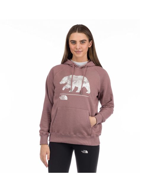 The North Face Bearscape 2 Pullover Hoodie in Purple | Lyst UK