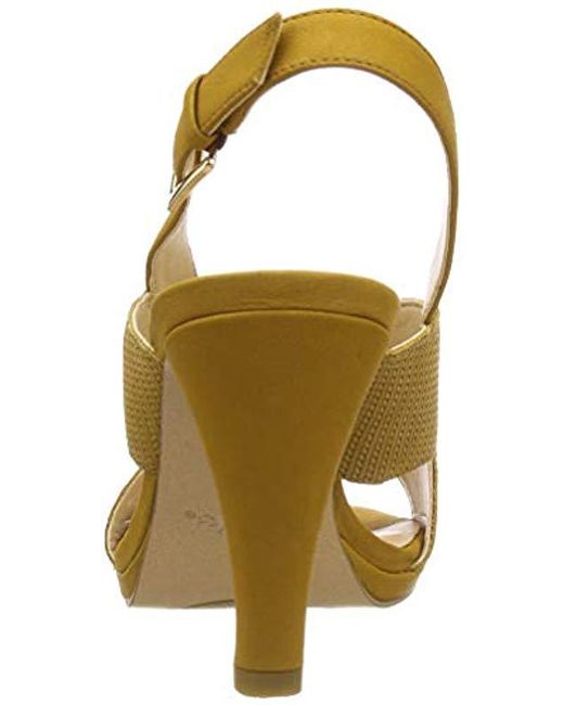 Dalia lotus hot sale