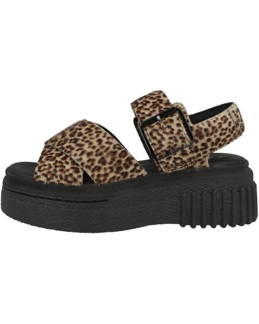 Clarks Brown S Evamar Wish Leather Leopard Print Sandals 7 Uk