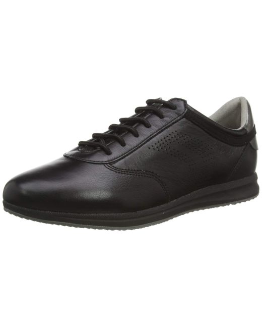 Mens Sneakers | Geox Avery Anthracite — Karianne Gilbert