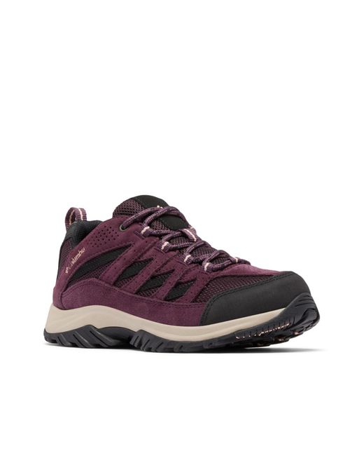 Columbia Purple Low Hiking Shoes