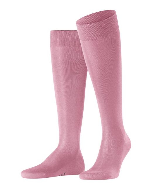 Falke Pink Tiago M Kh Fil D'écosse Cotton Long Plain 1 Pair Knee-high Socks for men