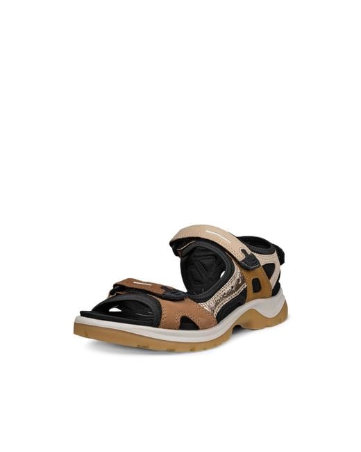 Ecco Black Yucatan Sport Sandal