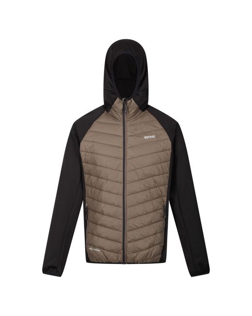Regatta Gray S Andresonviii Hybrid Padded Hooded Jacket for men