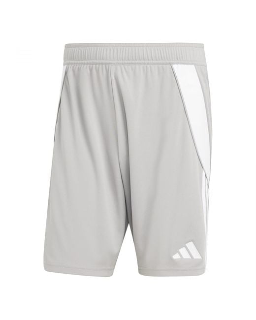 Adidas Gray Tiro 24 Sweat Shorts for men