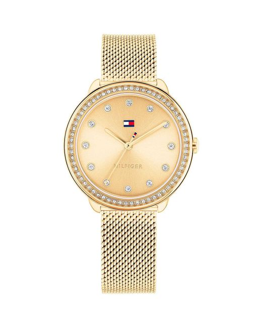Tommy Hilfiger Metallic 1782699 Analogue Quartz Watch With Yellow Gold Stainless Steel Bracelet