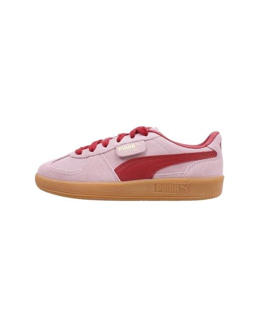 Palermo Trainers EU 37 di PUMA in Pink