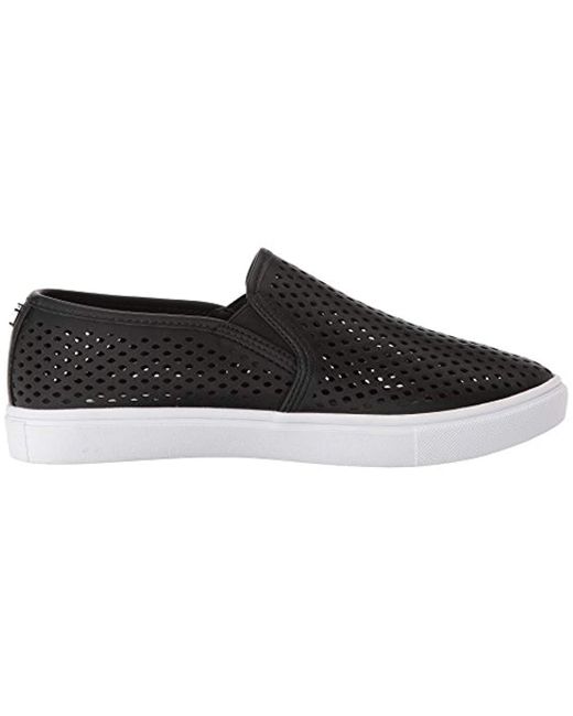 steve madden elenor