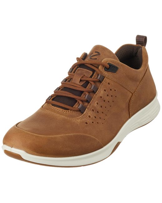 Ecco Brown Exceed Trainer Hiking Shoe for men