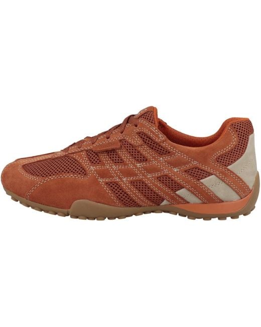 Geox U Snake ORIGINAL A Sneaker in Brown für Herren