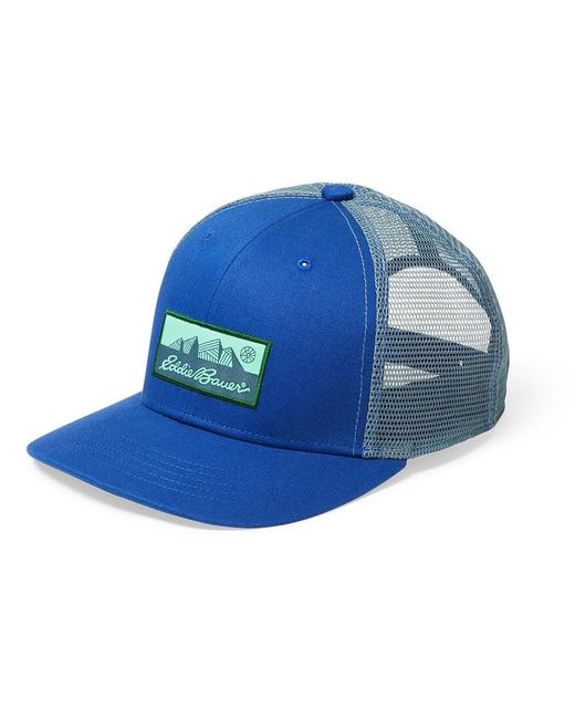 Eddie Bauer Blue Seamoss Graphic Logo Hat for men