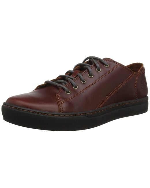 Timberland Brown Adventure 2.0 Cupsole Modern Oxford Low-top Sneakers for men