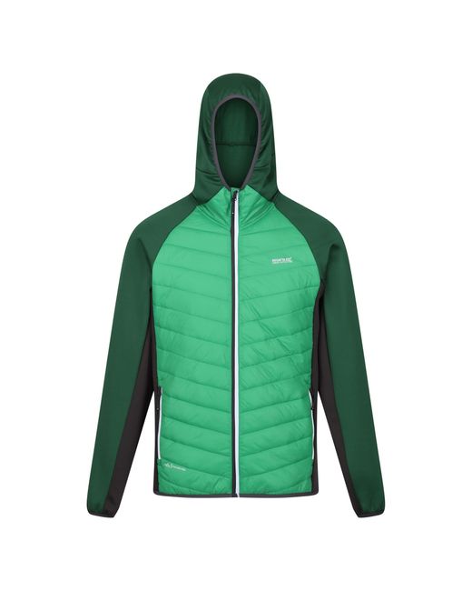 Regatta Green S Andresonviii Hybrid Padded Hooded Jacket for men