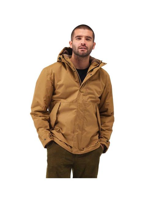 Regatta Brown S Sterlings Iv Waterproof Winter Jacket for men