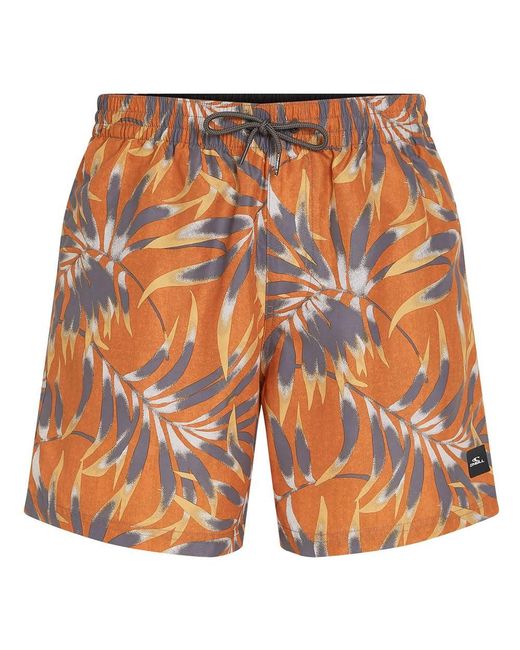 O'neill Sportswear O Neill O Neill Cali Floral 40,6 cm Badebekleidung - L in Orange für Herren