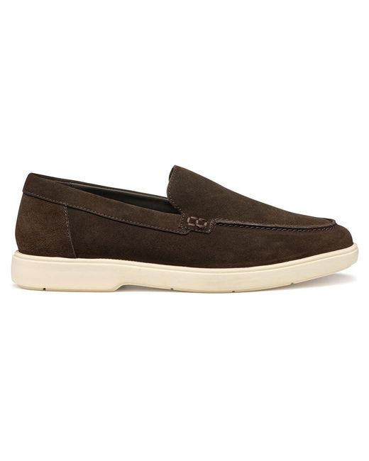 U SPHERICA EC17 D di Geox in Brown da Uomo