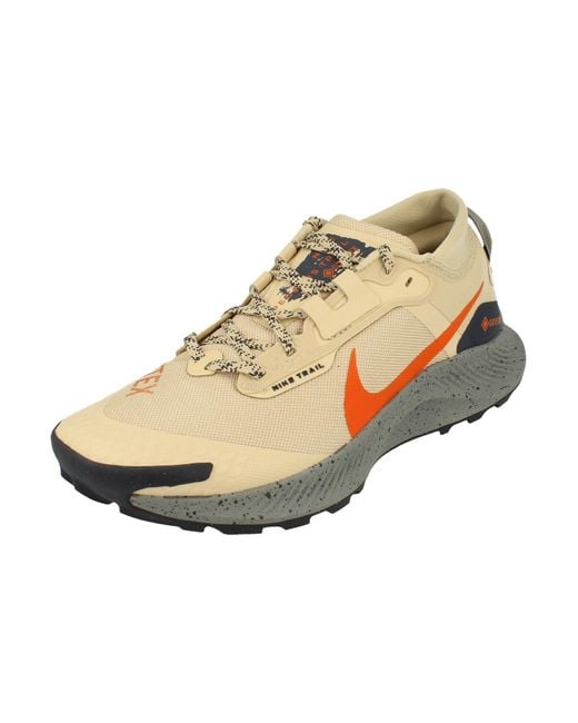 Nike Multicolor Pegasus Trail 3 Gore-tex Running Shoes for men