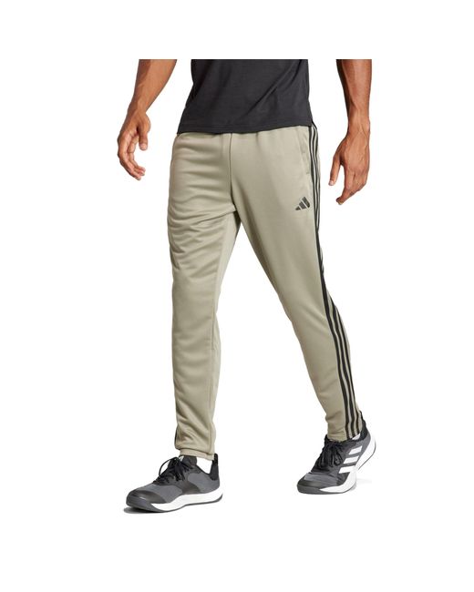 Train Essentials 3-Stripes Training Pants Pantalones Adidas de hombre de color Gray
