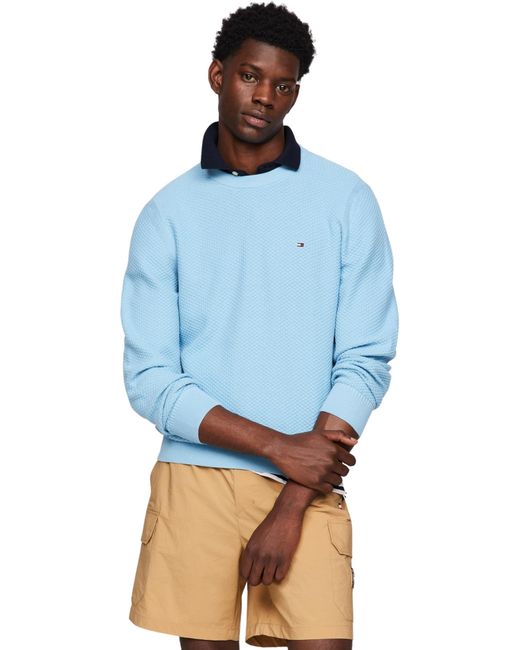 Tommy Hilfiger Blue Oval Structure Crew Neck Pullovers for men