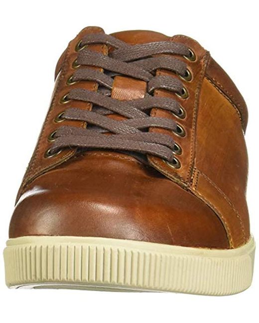 skechers lace up marron