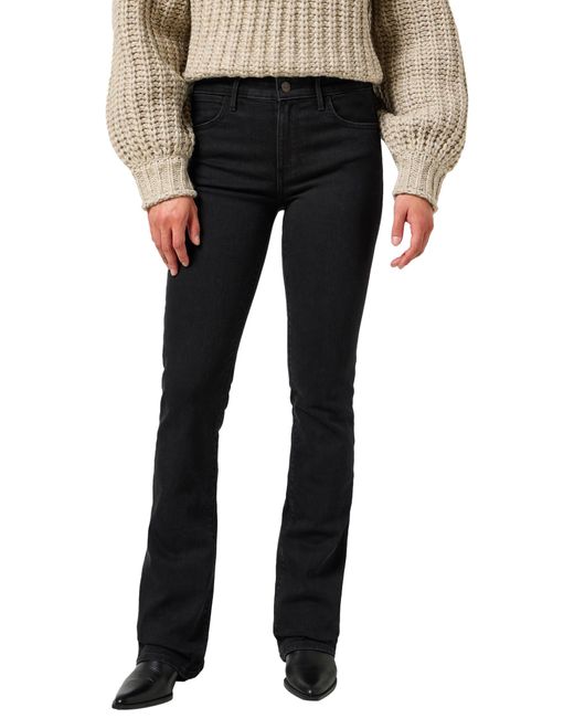 Wrangler Multicolor Bootcut Jeans