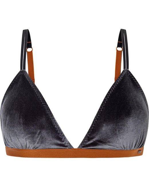 Pepe Jeans Blue Velvet Bra B