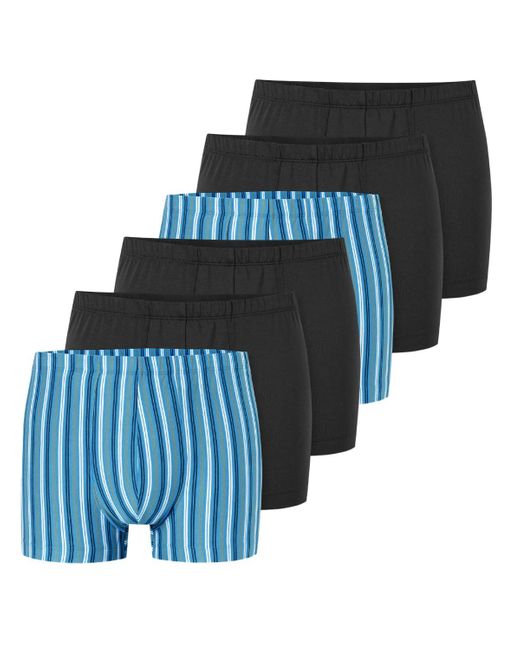 Schiesser Cotton - Retro Short/Pant - 6er in Blue für Herren