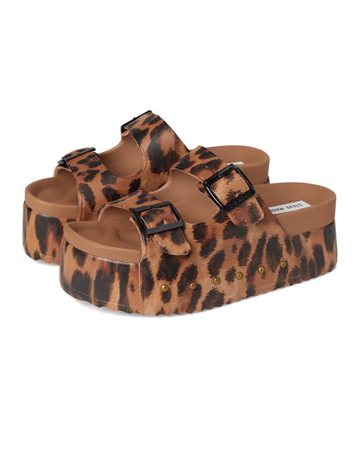 Sandali da donna Kali Slide di Steve Madden in Brown