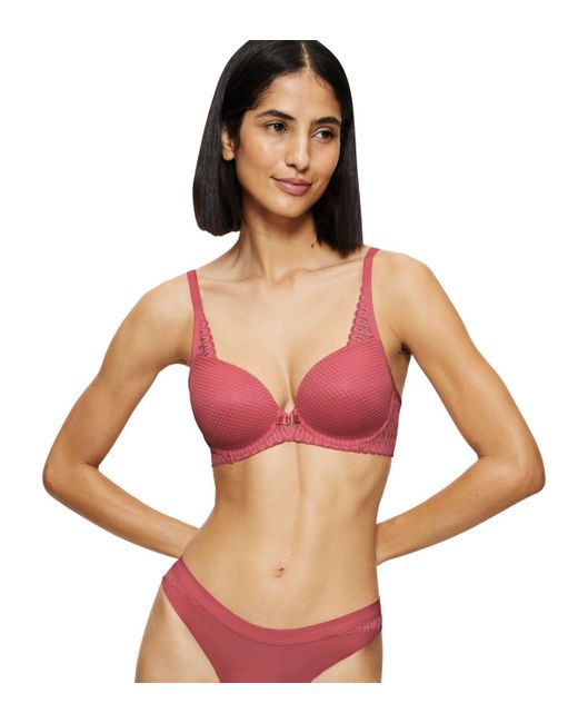 TRIUMPH AURA SPOTLIGHT T WHP STRAWBERRY TRIUMPH AURA SPOTLIGHT T WHP STRAWBERRY