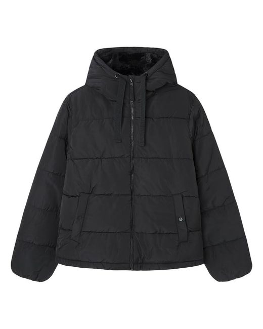 Chaqueta básica Acolchada con Relleno Reciclado Springfield de color Black