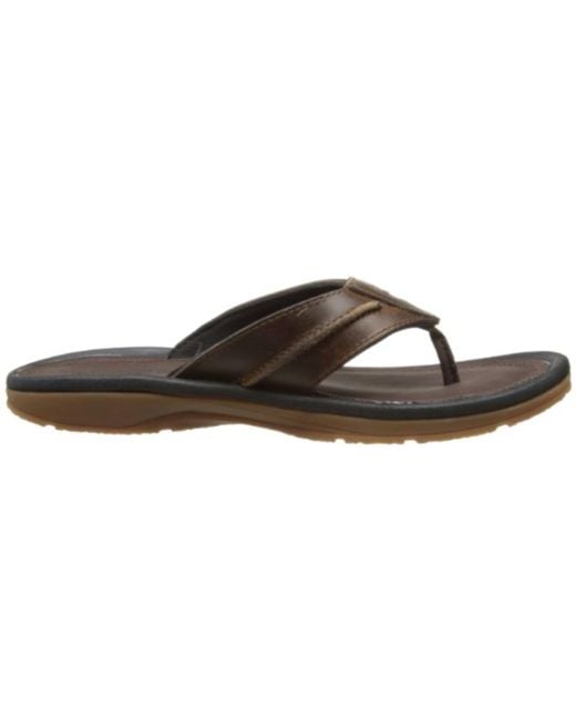 timberland earthkeepers flip flops