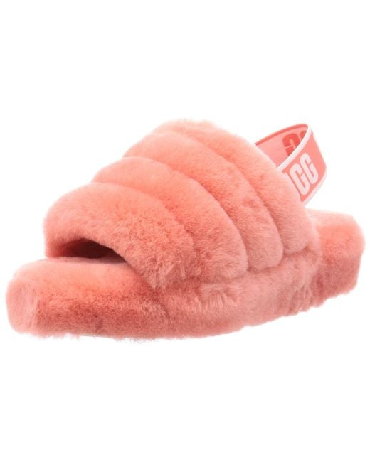 coral fluff yeah slides