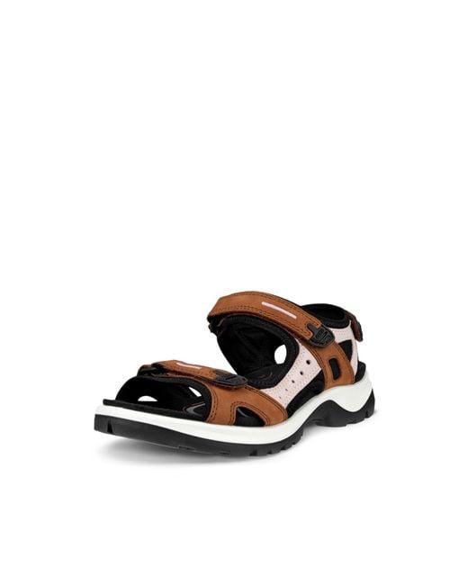 Ecco Black Yucatan Sport Sandal