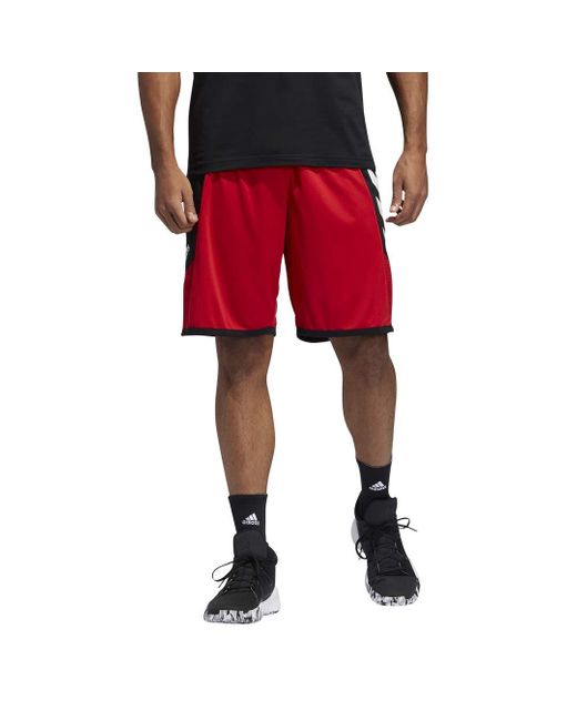 adidas Tall Plus Size Pro Madness Shorts in Scarlet (Red) for Men Lyst