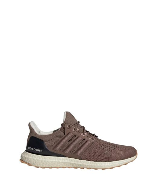 Adidas Brown Ultraboost 1.0 Running Shoe for men