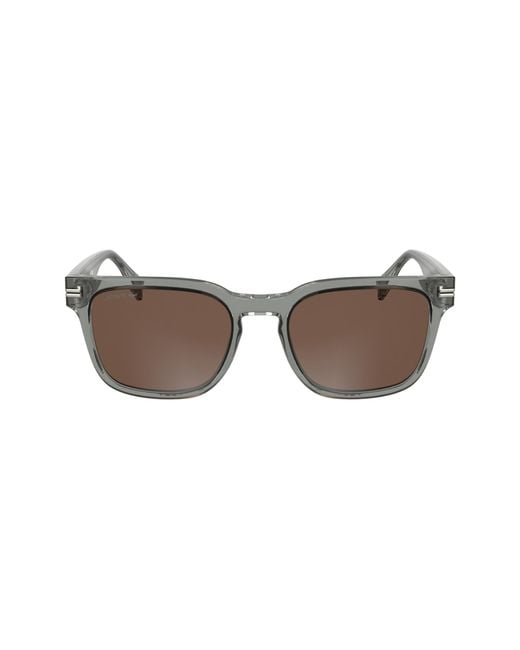 Lacoste Black L6065s 038 Transparent Light Grey 54/20/145 Male Sunglasses for men