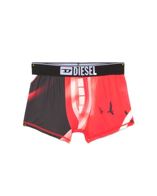 DIESEL _UMBX-Damien Boxers_Underpants_Mehrfarbig_XS in Red für Herren