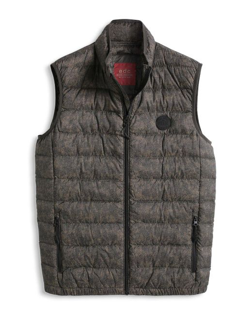 Esprit Edc By Vest Voor in het Black voor heren