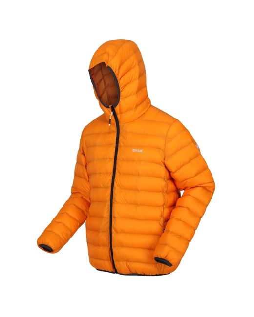 Regatta Orange S Hooded Marizion Padded Puffer Jacket for men