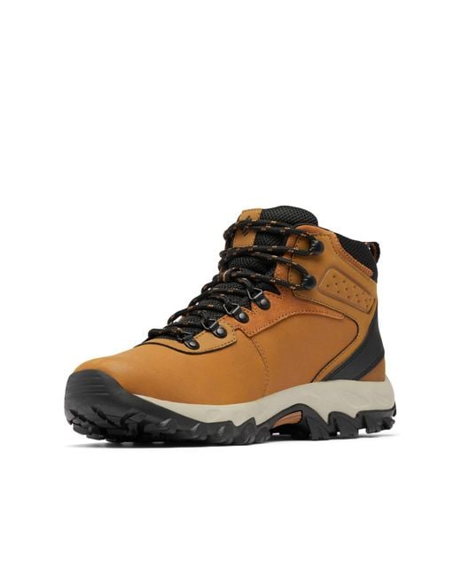 Columbia Newton Ridge Plus 2 Waterproof Mid Rise Trekking And Hiking Boots  in Brown for Men | Lyst UK