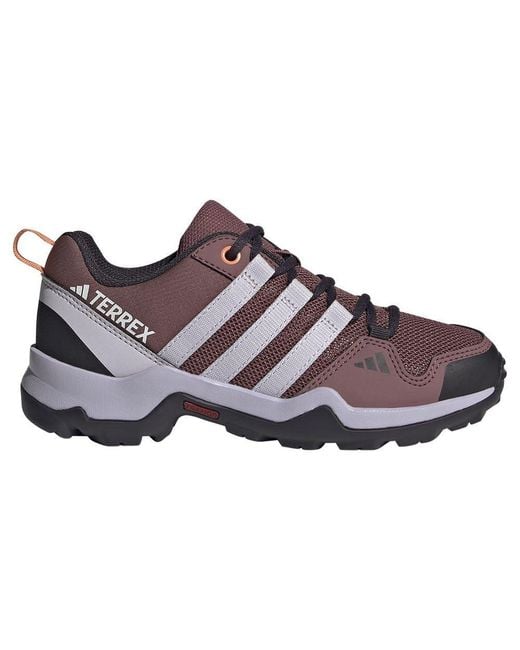 Adidas Brown Terrex Ax2r Hiking Shoes