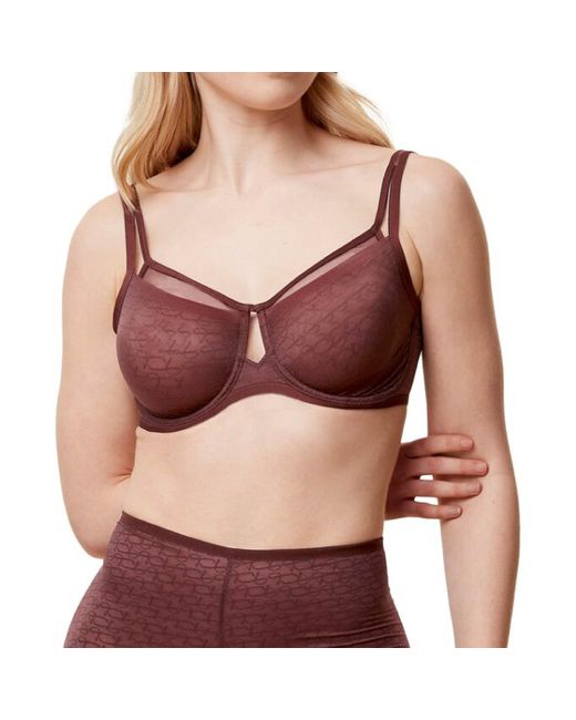Signature Sheer W01 Ex di Triumph in Purple