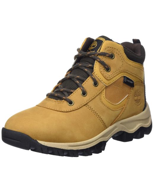 MT. Maddsen Mid WP Chaussures de randonnée Timberland pour homme en coloris Brown