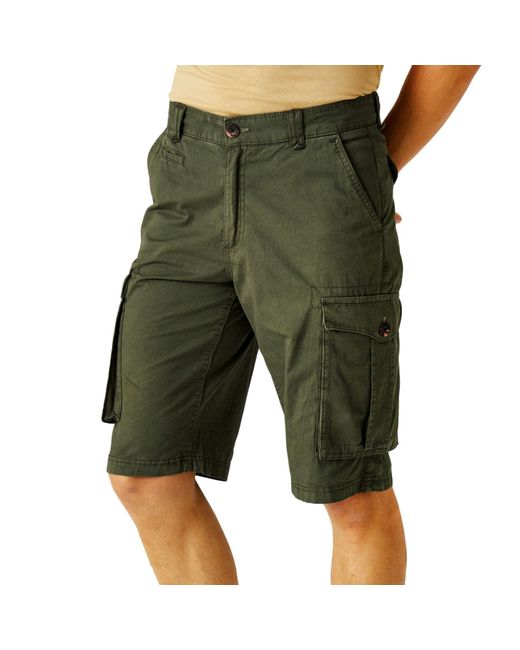 Regatta Shoreby Shorts Voor in het Green voor heren