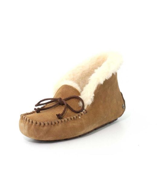 Womens Alena Chestnut Slipper Size 8, Brown Kuwait Ubuy