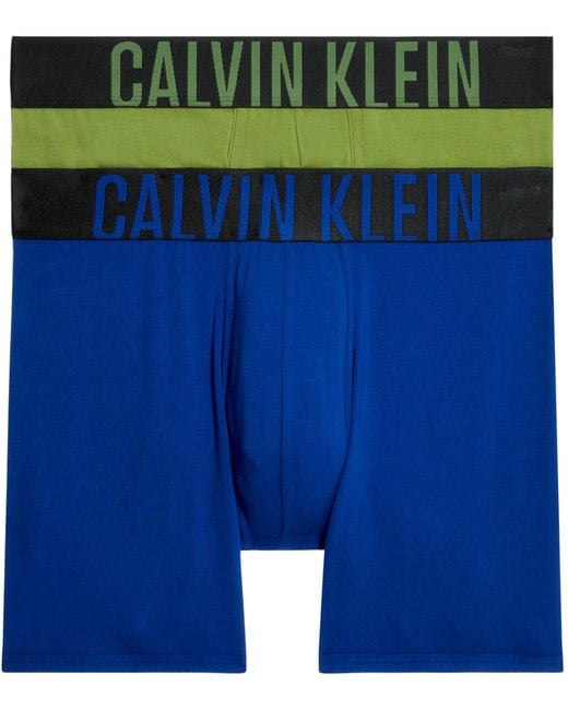 Boxer Brief 2Pk 000NB2603A di Calvin Klein in Blue da Uomo